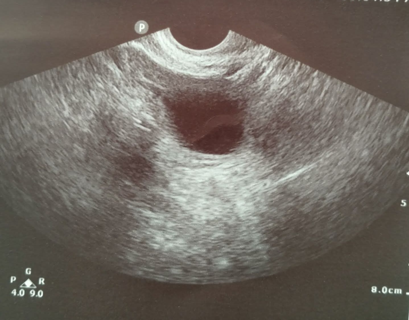 All I Really Want for Christmas…